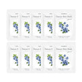 Foodaholic Nature Skin Blueberry Radiance Sheet Masks – 10 Pack
