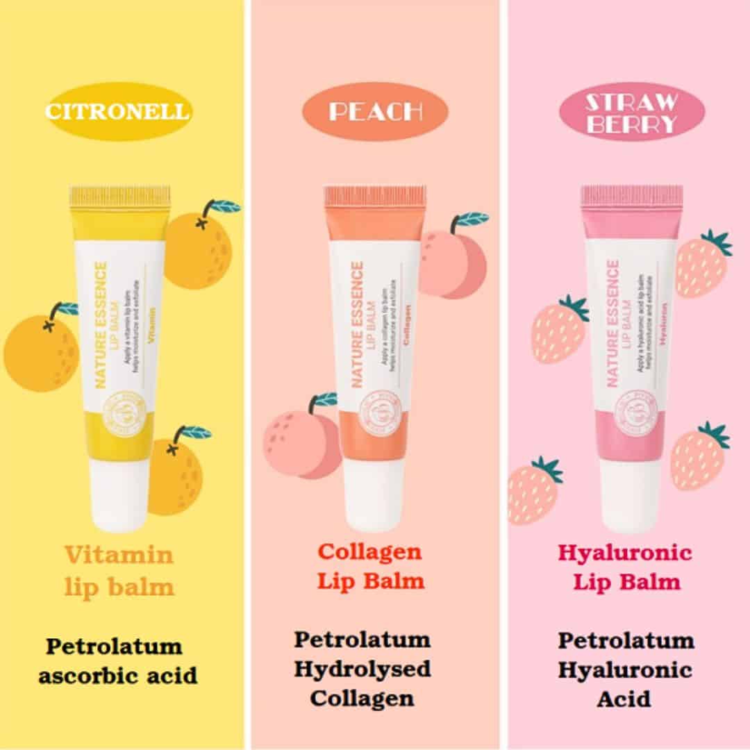 Foodaholic Nature Essence Vitamin Lip Balm – 12 mL