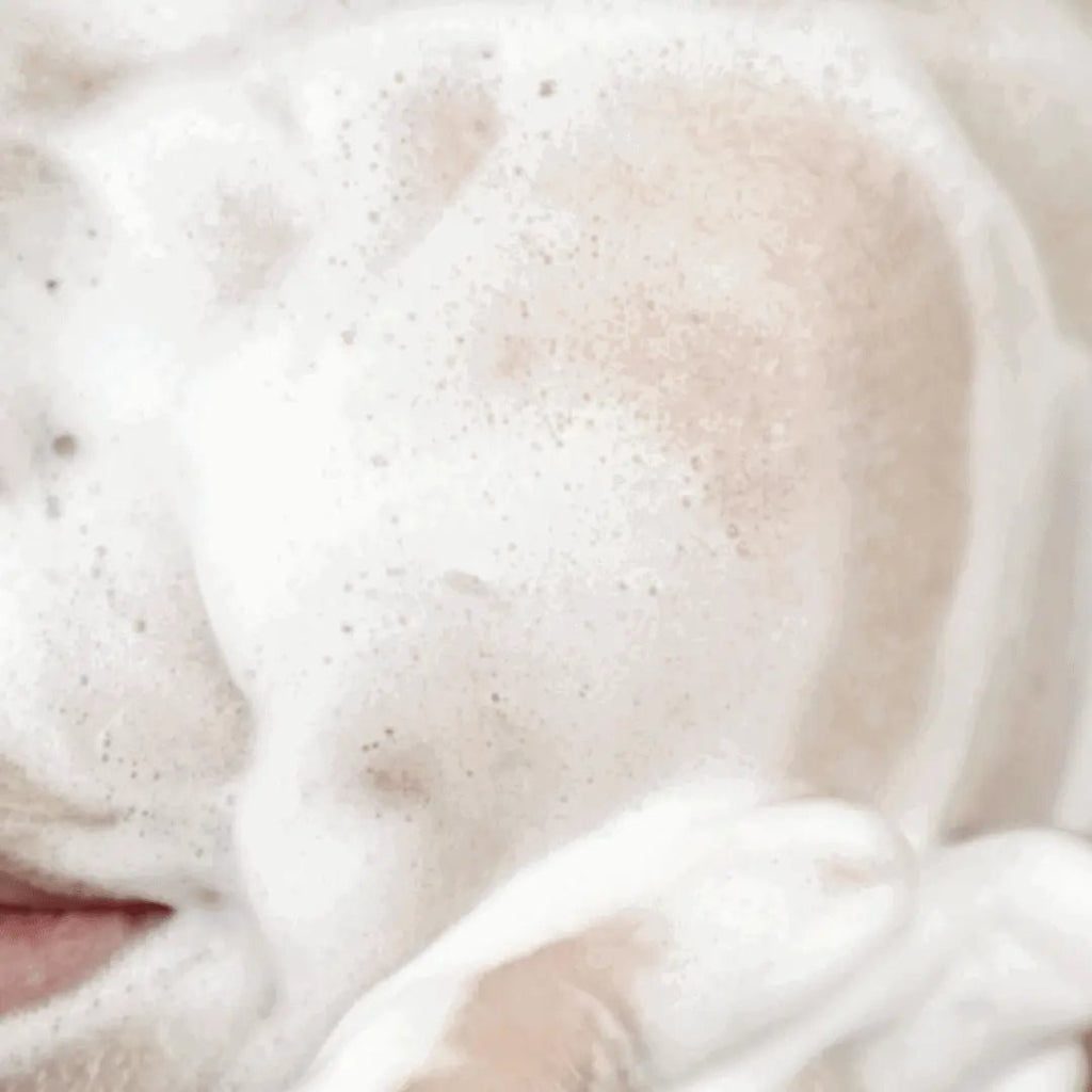 SENKA Perfect Whip Facial Cleanser – 120g