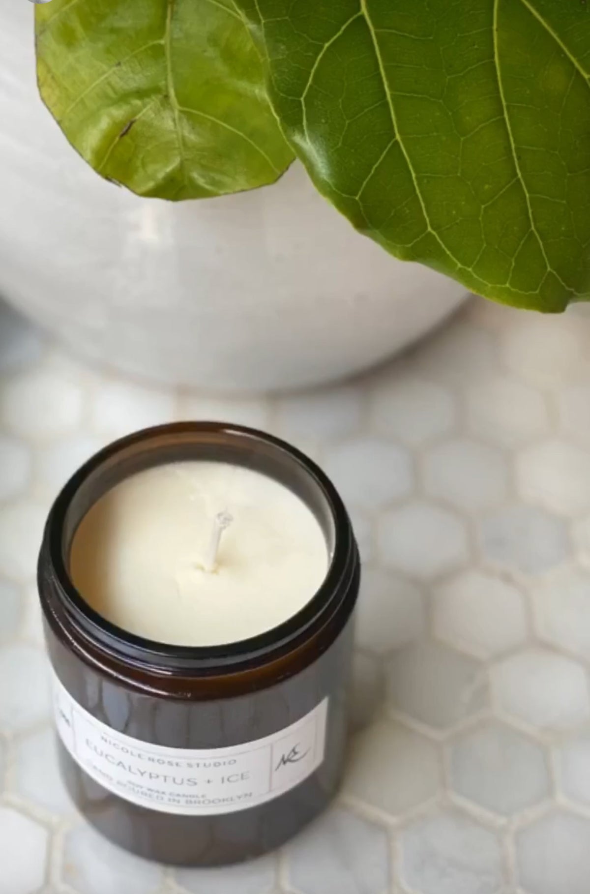 Eucalyptus & Ice Soy Candle