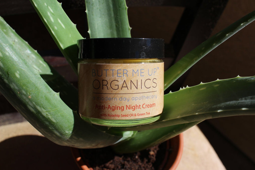Organic Night Cream – Green Tea, Rosehip & Avocado Oil